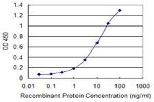 Detection limit for recombinant GST tagged MYCBP is 0. (MYCBP 抗体  (AA 34-103))