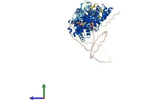Protein Structure (PS) image for rho-Related BTB Domain Containing 2 (RHOBTB2) (AA 1-727) protein (His tag) (ABIN7551334)