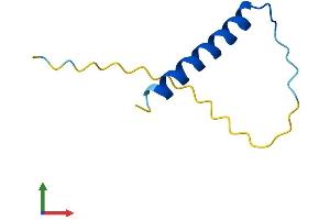 Protein Structure (PS) image for Purkinje Cell Protein 4 (PCP4) (AA 1-62) protein (Fc Tag) (ABIN7556641)