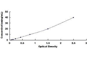 Typical standard curve (SLC6A19 ELISA 试剂盒)