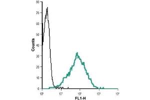 Cell surface detection of Nectin-2 in live intact human Jurkat T cell leukemia cells: (black line) Cells + goat-anti-rabbit-Alexa-488. (Nectin-2 抗体  (Extracellular, N-Term))