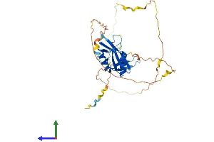 AlphaFold protein structure predicition of Mouse Recombinant Sh2d6 Protein, UniprotID Q9D413