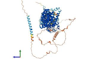 Protein Structure (PS) image for SCY1-Like 1 (SCYL1) (AA 1-808) protein (His tag) (ABIN7554781)