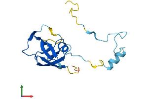 Protein Structure (PS) image for Endogenous Retrovirus Group K, Member 8 (ERVK-8) (AA 1-156) protein (His tag) (ABIN7545138)
