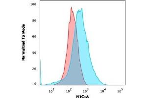Flow Cytometric Analysis of U937 cells using CD15 MAb (Leu-M1) followed by goat anti-Mouse IgG-CF488 (Blue); Isotype Control (Red). (CD15 抗体)