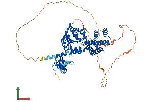 Protein Structure (PS) image for Glyoxylate Reductase 1 Homolog (GLYR1) (AA 1-553) protein (His tag) (ABIN7547996)