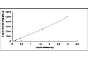 Typical standard curve (GFER ELISA 试剂盒)