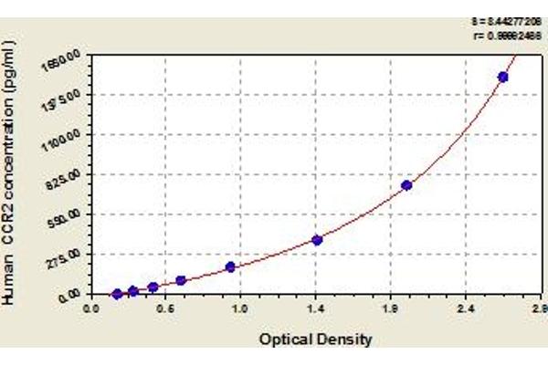CCR2 ELISA 试剂盒