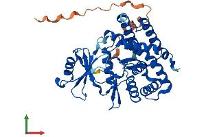 Protein Structure (PS) image for Ethanolamine Kinase 2 (ETNK2) (AA 1-385) protein (His tag) (ABIN7562021)