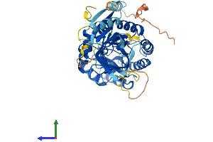 Protein Structure (PS) image for Arginine Decarboxylase (ADC) (AA 1-460) protein (His tag) (ABIN7552593)
