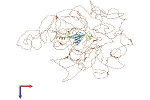 Periaxin Protein (PRX) (AA 1-1461) (His tag)
