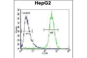 Flow cytometric analysis of HepG2 cells (right histogram) compared to a negative control cell (left histogram). (TYROBP 抗体  (C-Term))