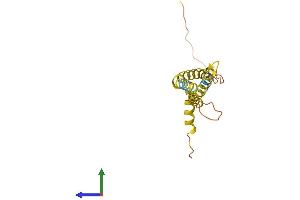 Protein Structure (PS) image for OCIA Domain Containing 2 (OCIAD2) (AA 1-154) protein (His tag) (ABIN7550340)