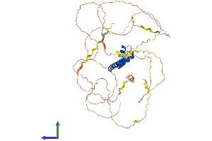 Protein Structure (PS) image for Thymus High Mobility Group Box Protein (TOX) (AA 1-526) protein (His tag) (ABIN7557864)