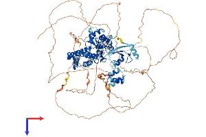 CBL Protein (AA 1-913) (His tag)