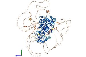 AlphaFold protein structure predicition of Human Recombinant BLM Protein, UniprotID P54132