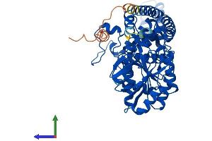 AlphaFold protein structure predicition of Human Recombinant SEPSECS Protein, UniprotID Q9HD40