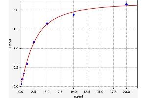 Typical standard curve (PKC alpha ELISA 试剂盒)