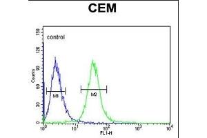 SMYD3 Antibody (Center) (ABIN6242627 and ABIN6578989) flow cytometric analysis of CEM cells (right histogram) compared to a negative control cell (left histogram). (SMYD3 抗体  (AA 209-236))