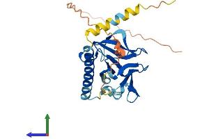 Protein Structure (PS) image for Opa Interacting Protein 5 (OIP5) (AA 1-241) protein (His tag) (ABIN7561945)