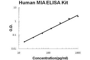 Human MIA PicoKine ELISA Kit standard curve (MIA ELISA 试剂盒)