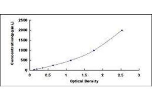 Fibromodulin (FMOD) ELISA Kit