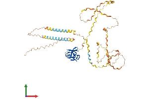 Protein Structure (PS) image for Macrophage Receptor with Collagenous Structure (MARCO) (AA 1-518) protein (His tag) (ABIN7557602)