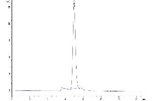The purity of Cynomolgus LDLR is greater than 95 % as determined by SEC-HPLC.