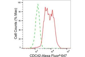 Flow cytometric analysis of CDC42 expression in HepG2 cells using CDC42 antibody (ABIN7798013), 1:2,000). (Recombinant CDC42 抗体)