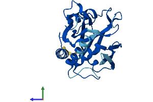 Protein Structure (PS) image for Nudix (Nucleoside Diphosphate Linked Moiety X)-Type Motif 7 (NUDT7) (AA 1-236) protein (His tag) (ABIN7560449)