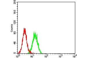 Flow cytometric analysis of K562 cells using ELANE mouse mAb (green) and negative control (red). (ELANE 抗体  (AA 140-267))