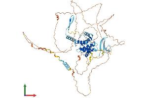 Protein Structure (PS) image for Cdk5 and Abl Enzyme Substrate 1 (CABLES1) (AA 1-633) protein (His tag) (ABIN7552863)