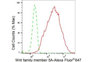Flow cytometric analysis of Wnt family member 5A expression in HepG2 cells using Wnt family member 5A antibody (ABIN7800863), 1:2,000).