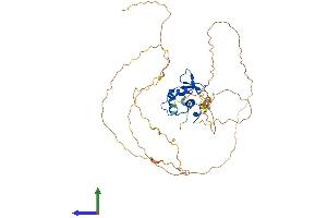 Protein Structure (PS) image for ELK3, ETS-Domain Protein (SRF Accessory Protein 2) (ELK3) (AA 1-409) protein (His tag) (ABIN7563238)