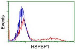 Flow Cytometry (FACS) image for anti-HSPA Binding Protein, Cytoplasmic Cochaperone 1 (HSPBP1) antibody (ABIN1498760) (HSPBP1 抗体)