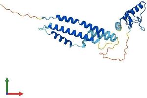 Protein Structure (PS) image for E3 SUMO-Protein Ligase NSE2 (NSMCE2) (AA 1-247) protein (His tag) (ABIN7564788)