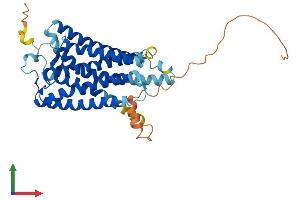 AlphaFold protein structure predicition of Mouse Recombinant Opn5 Protein, UniprotID Q6VZZ7
