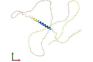 Protein Structure (PS) image for Chromosome 4 Open Reading Frame 49 (C4orf49) (AA 1-283) protein (His tag) (ABIN7559950)
