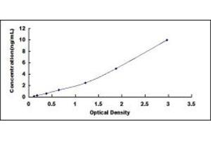 Typical standard curve (GABARAPL2 ELISA 试剂盒)