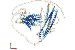 Protein Structure (PS) image for Kinesin Family Member 18A (KIF18A) (AA 1-898) protein (His tag) (ABIN7554346)