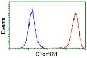 Flow cytometric Analysis of Hela cells, using anti-C1orf161 antibody (ABIN2454453), (Red), compared to a nonspecific negative control antibody, (Blue). (MAB21L3 抗体)