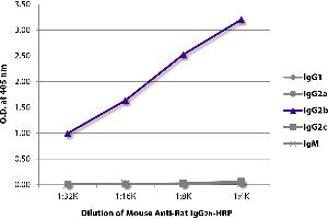 ELISA plate was coated with purified rat IgG1, IgG2a, IgG2b, IgG2c, and IgM. (小鼠 anti-大鼠 IgG2b Antibody (HRP))