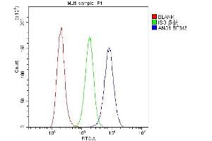 Flow Cytometry analysis of A431 cells using anti-TMEM16A antibody (ABIN6719430). (ANO1 抗体)