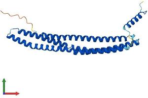 Protein Structure (PS) image for Bridging Integrator 3 (BIN3) (AA 1-253) protein (His tag) (ABIN7561527)