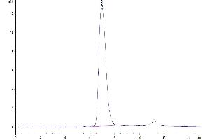 Size-exclusion chromatography-High Pressure Liquid Chromatography (SEC-HPLC) image for Trophoblast Glycoprotein (TPBG) (AA 32-355) protein (His-Avi Tag,Biotin) (ABIN7273785)
