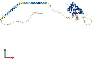 Protein Structure (PS) image for Cell Division Cycle 37-Like 1 (CDC37L1) (AA 1-337) protein (His tag) (ABIN7553298)