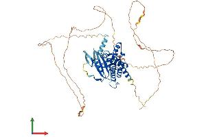 Protein Structure (PS) image for Septin 9 (SEPT9) (AA 1-583) protein (His tag) (ABIN7558332)