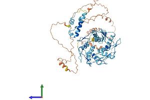AlphaFold protein structure predicition of Human Recombinant ZNF527 Protein, UniprotID Q8NB42