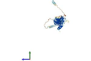 Protein Structure (PS) image for Leupaxin (LPXN) (AA 1-386) protein (His tag) (ABIN7549158)