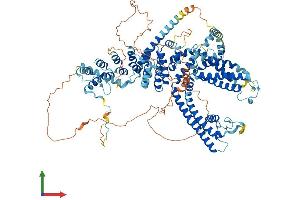 Protein Structure (PS) image for Transient Receptor Potential Cation Channel, Subfamily C, Member 5 (TRPC5) (AA 1-973) protein (His tag) (ABIN7555866)